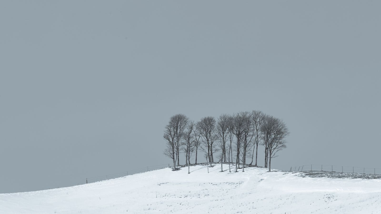 Snow-covered hills and trees in Hokkaido, Japan