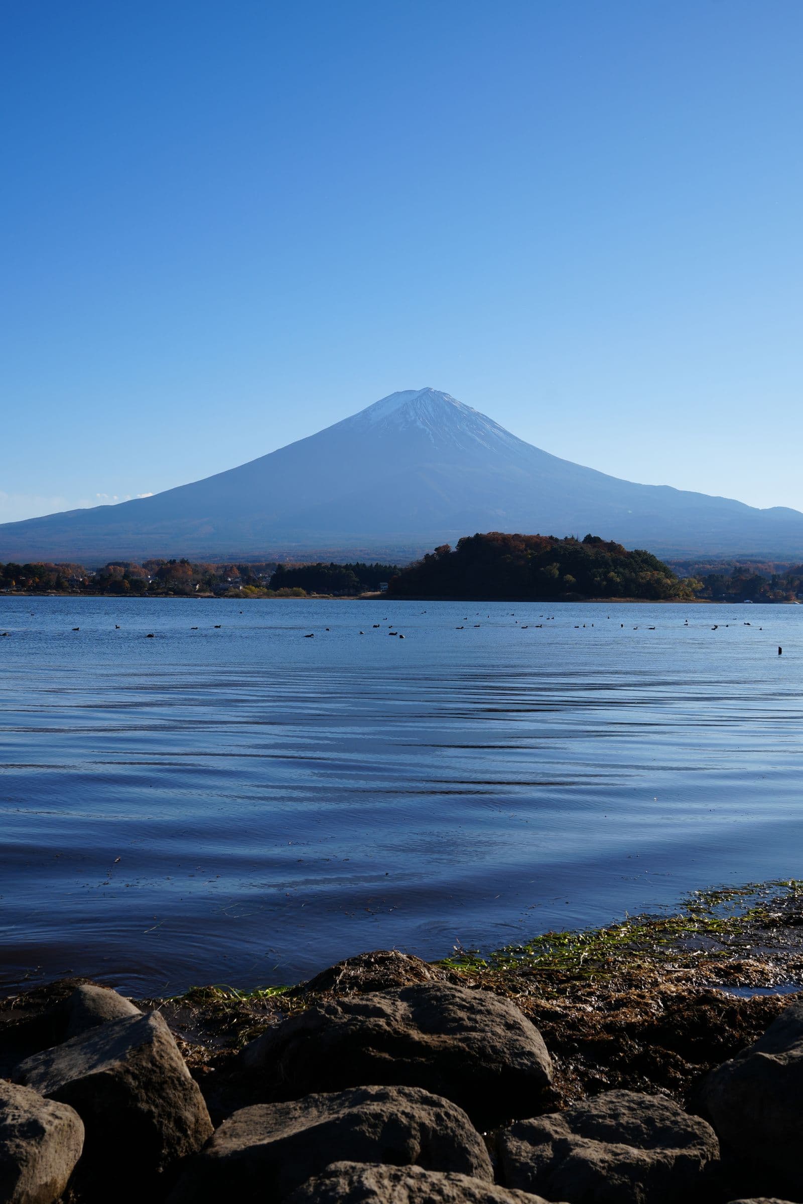 Lake Kawaguchiko and Mount Fuji, Japan